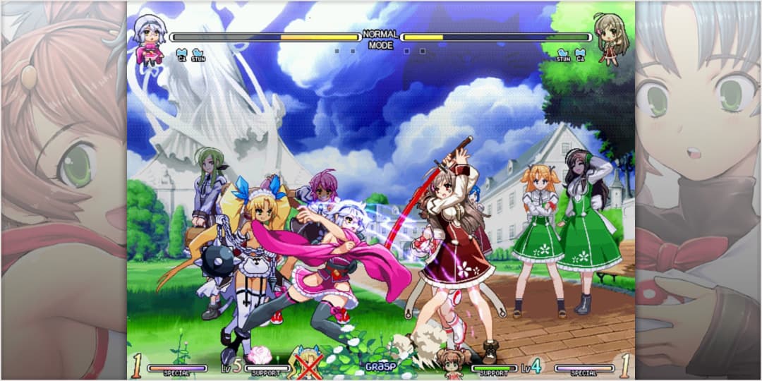 Vanguard Princess +  DLC Pack Steam CD Key - 2