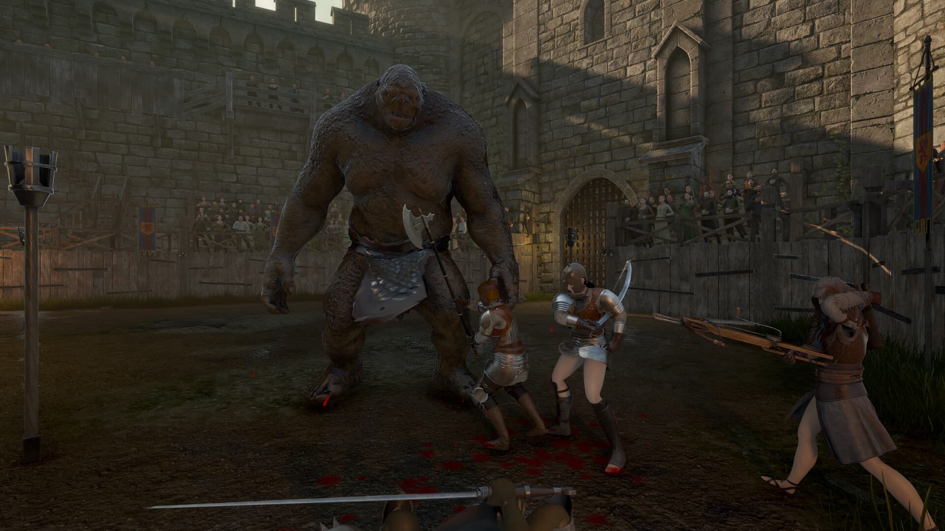 Blackthorn Arena: Reforged PC Steam Account - 3