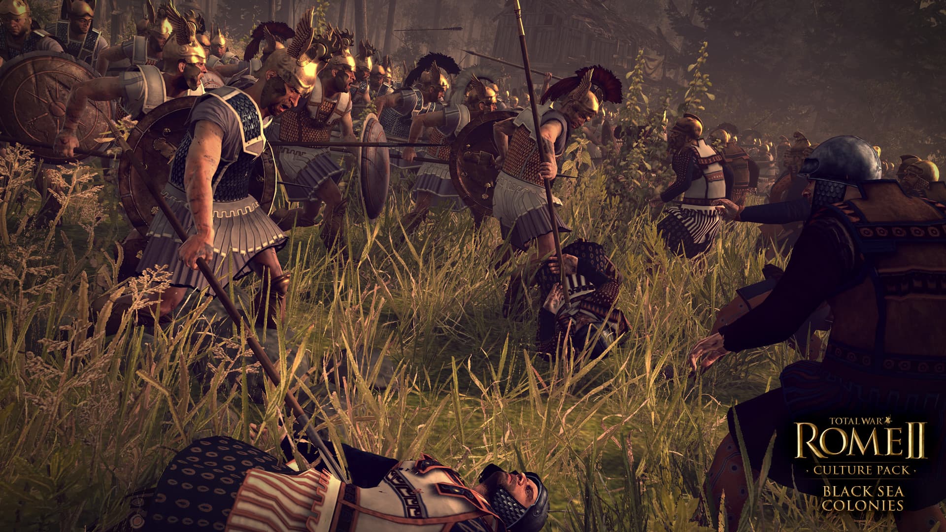 Total War: ROME II - Black Sea Colonies Culture Pack DLC PC Steam CD Key - 4