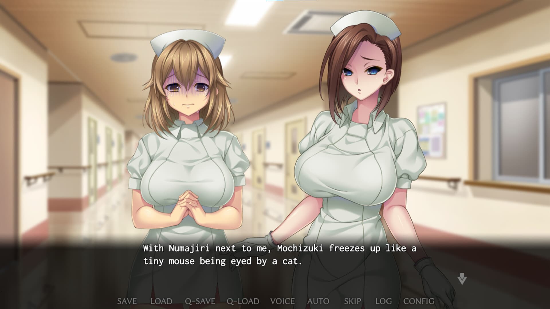Nope Nope Nope Nurses PC Steam Account - 2