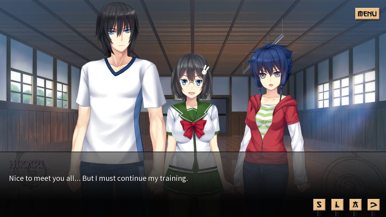 Sword of Asumi Steam CD Key - 8