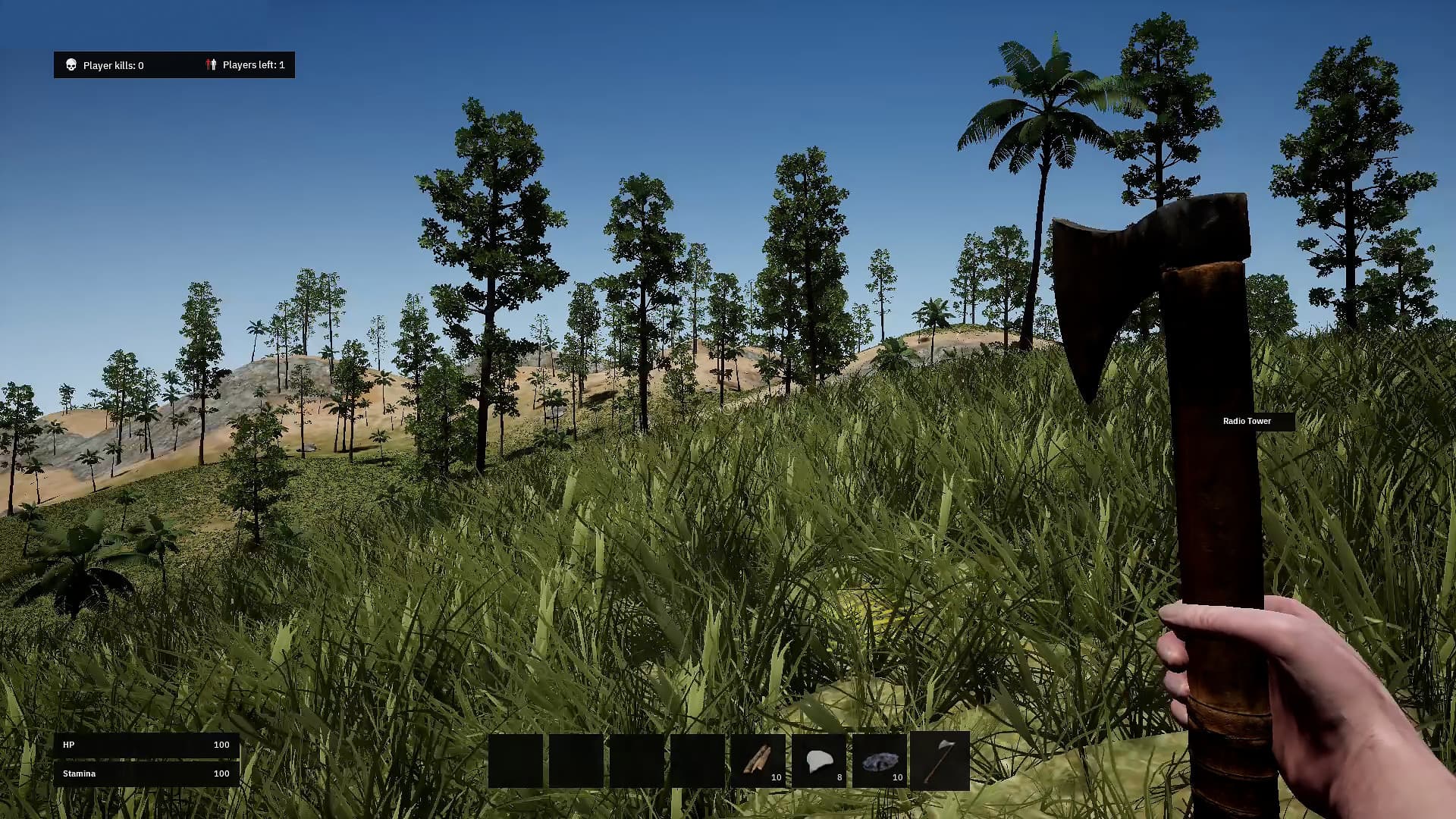 Paradise Steam Account - 2