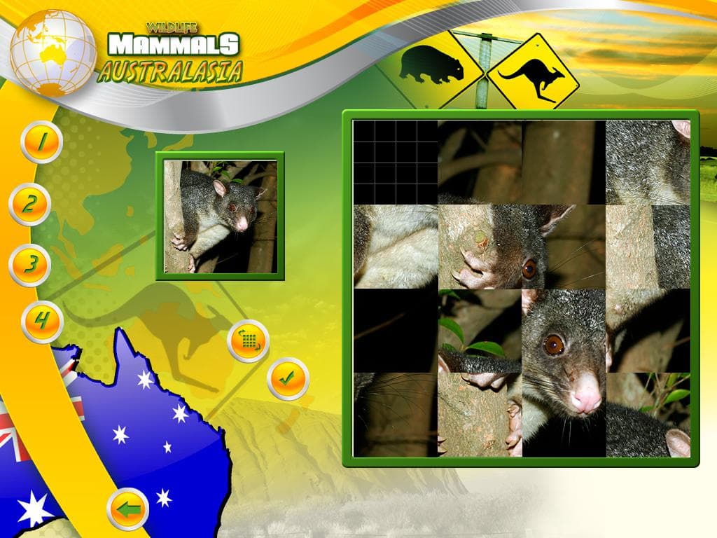Wildlife Creative Studio PC Steam CD Key - 7
