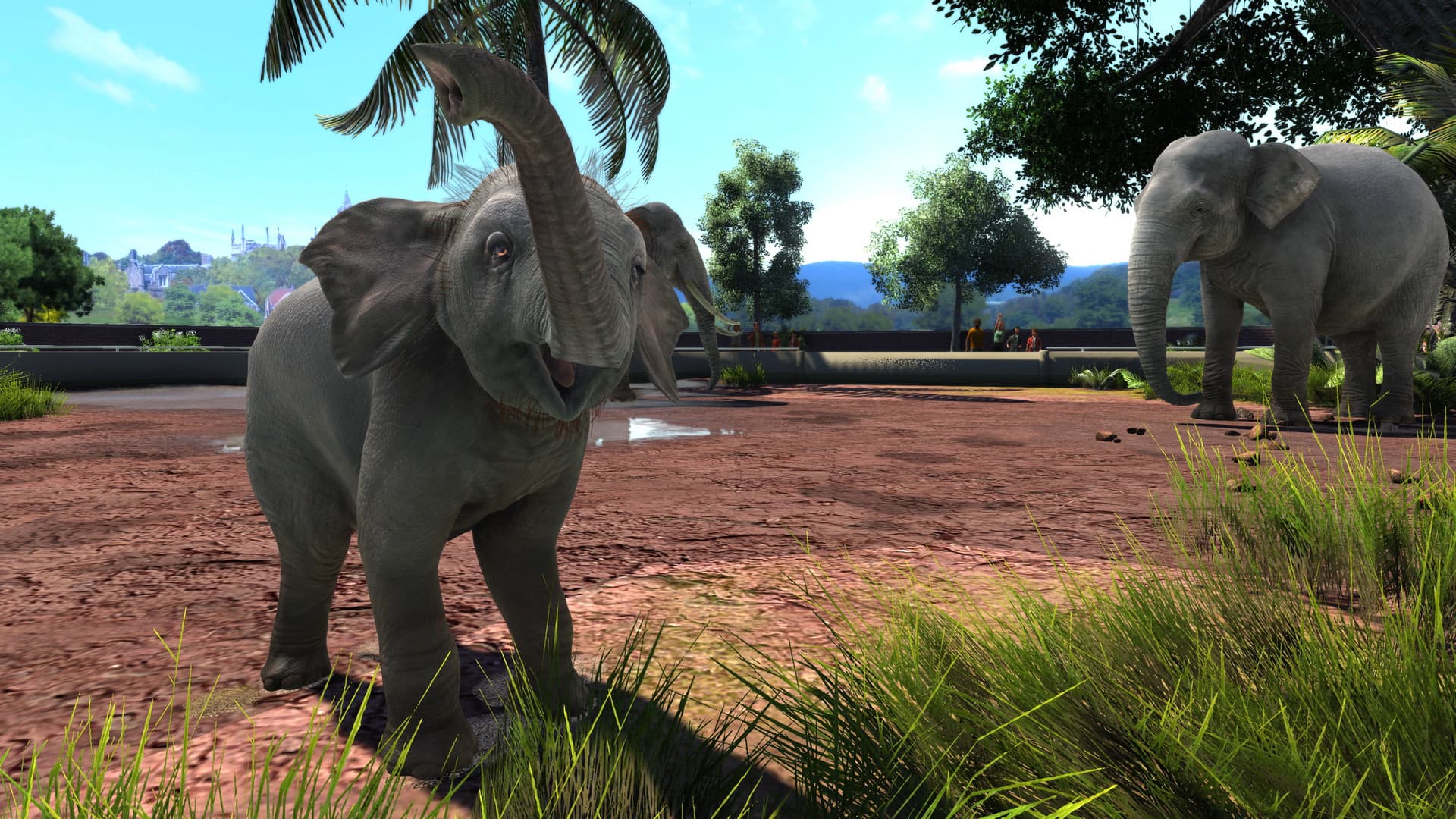 Zoo Tycoon: Ultimate Animal Collection PC Steam Account - 6