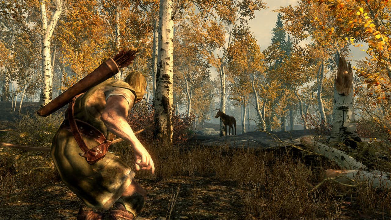 The Elder Scrolls V: Skyrim PC Steam CD Key - 5