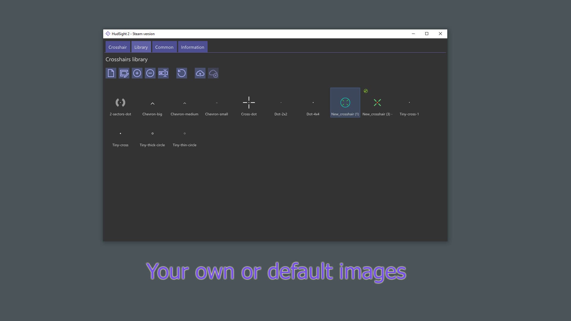 HudSight - crosshair overlay PC Steam Account - 3