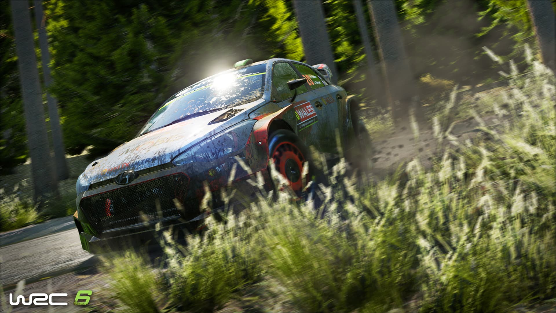 WRC 6: FIA World Rally Championship EU PC Steam Account - 6