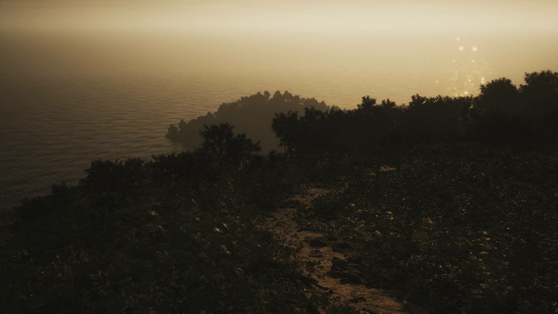 Lushfoil Photography Sim PC Steam Account - 7