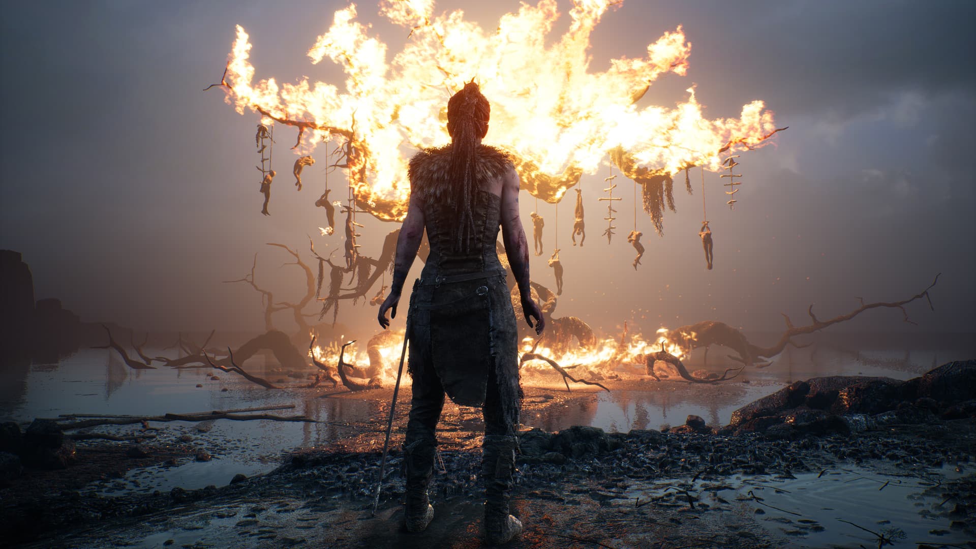Hellblade: Senua's Sacrifice Steam Account - 5