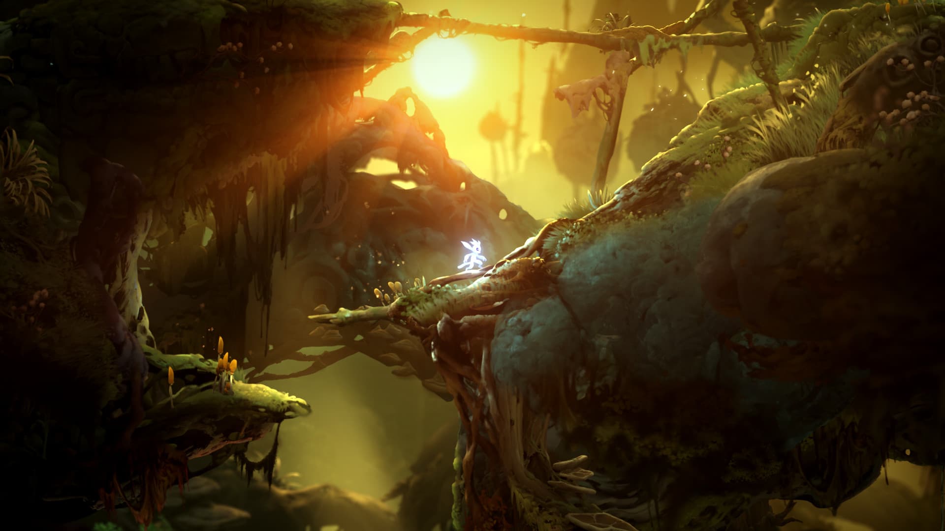 Ori and the Will of the Wisps Steam Account - 7