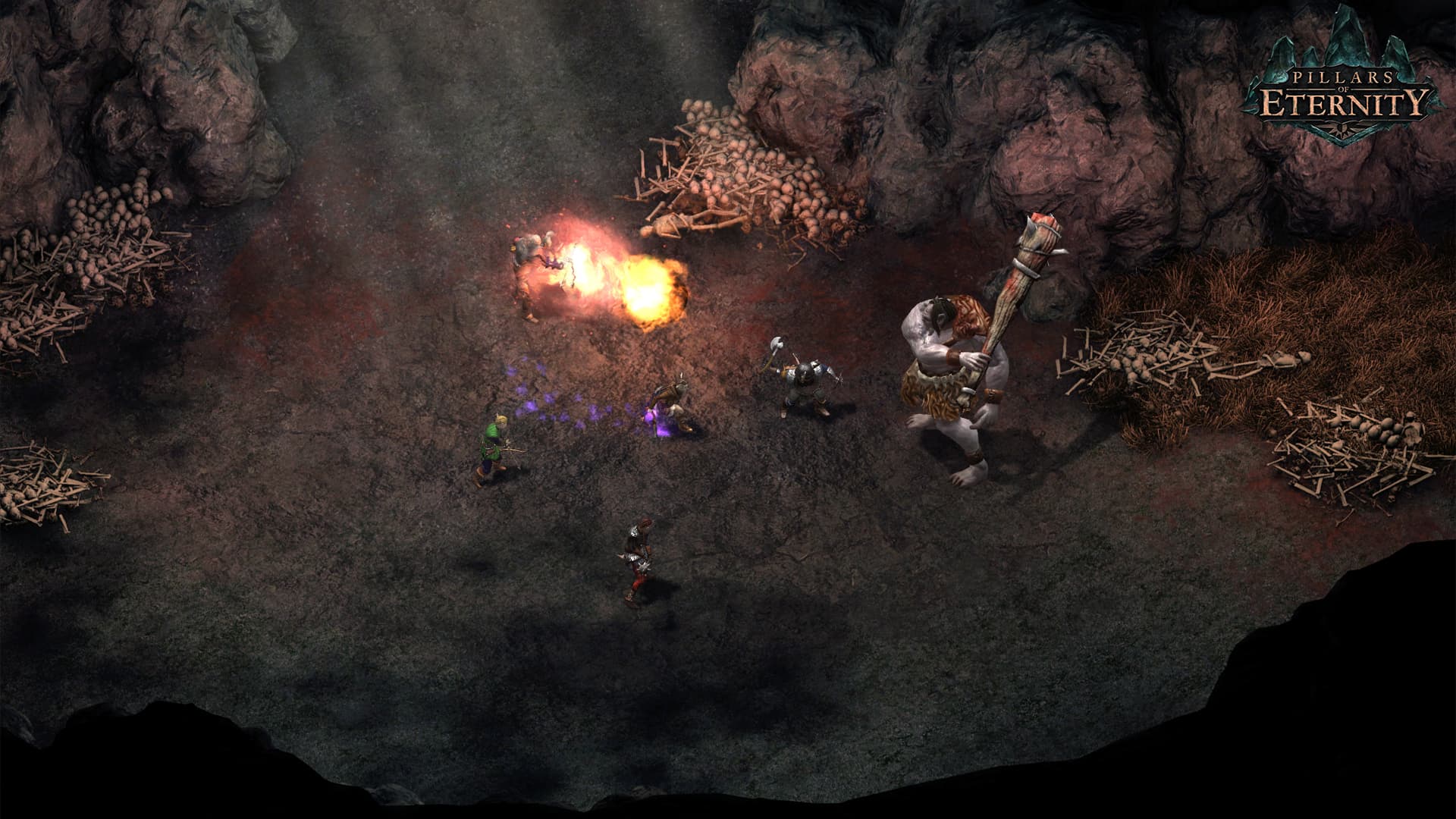 Pillars of Eternity Hero Edition Steam CD Key - 6