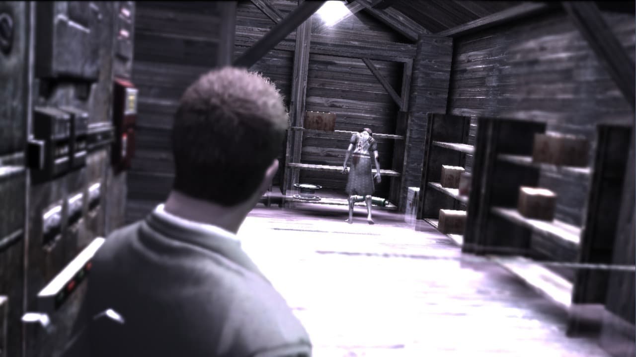 Deadly Premonition: The Director's Cut PC Steam CD Key - 3