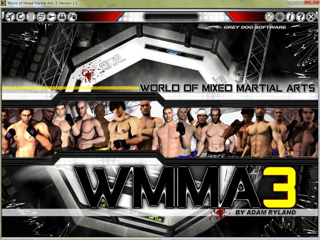 World of Mixed Martial Arts 3 Steam CD Key - 7