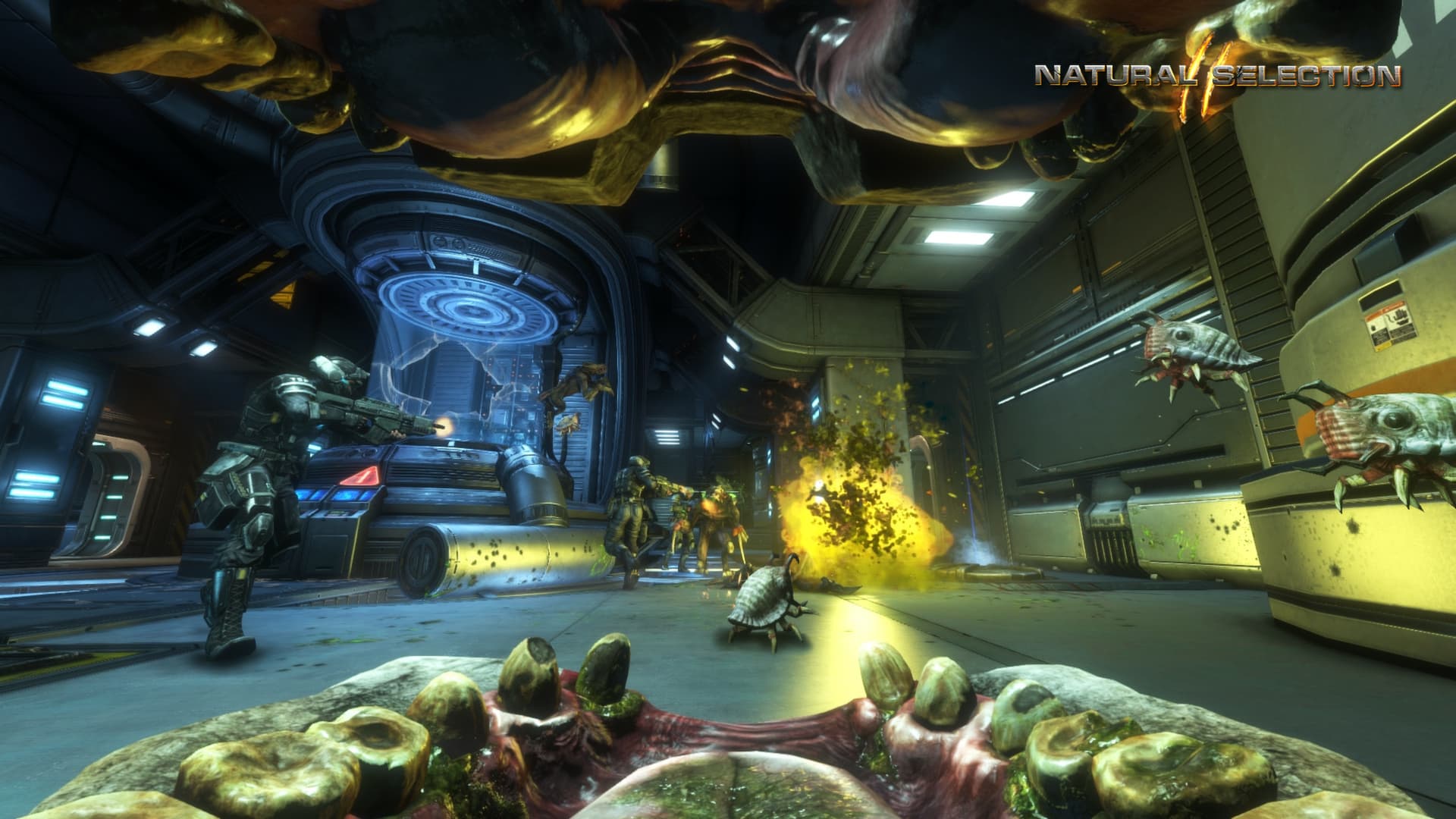 Natural Selection 2 PC Steam CD Key  - 7