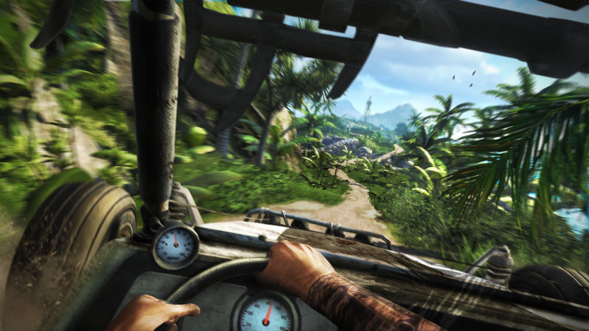 Far Cry 3 Steam Account - 2