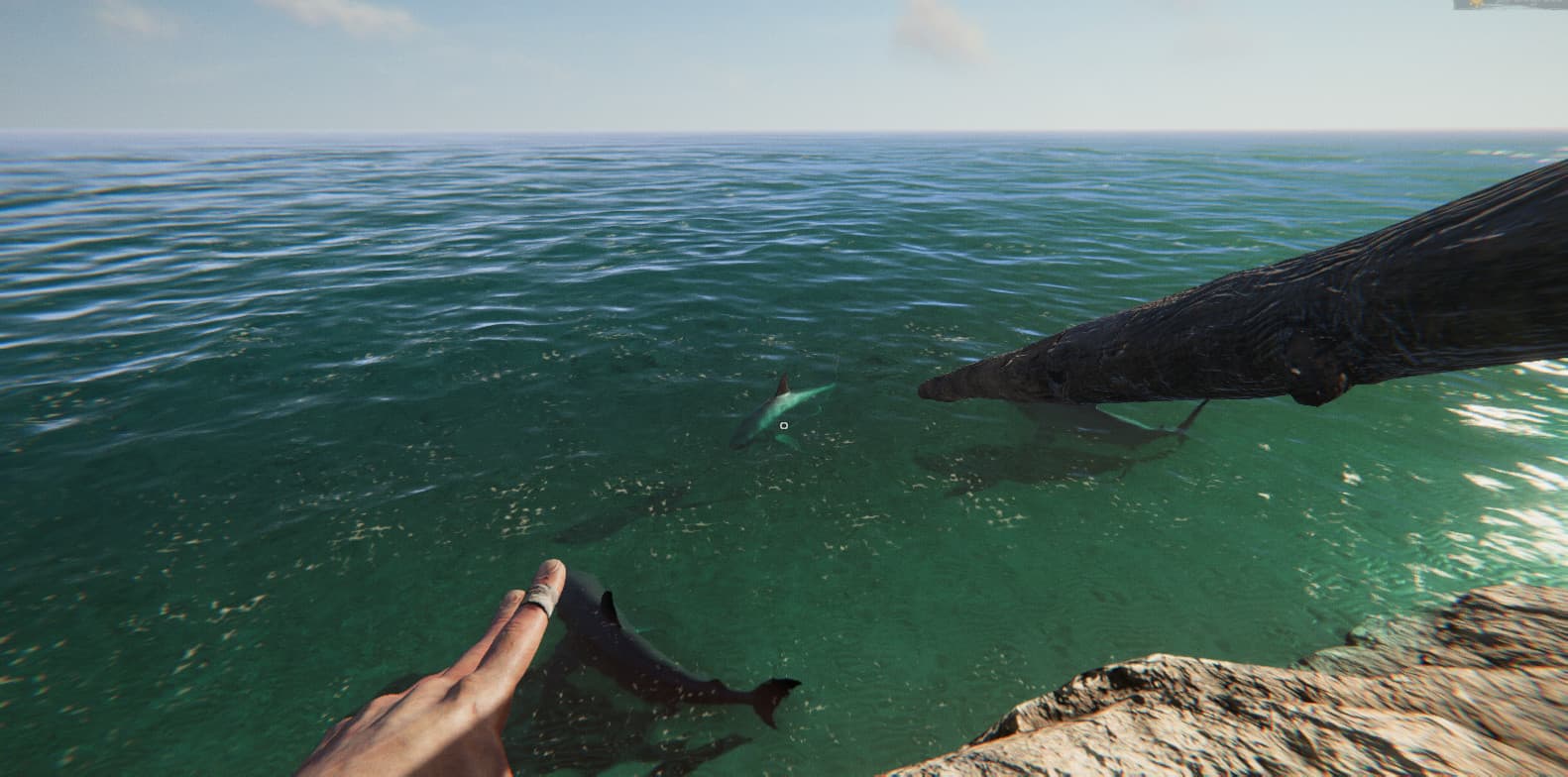 Project Castaway PC Steam Account - 7