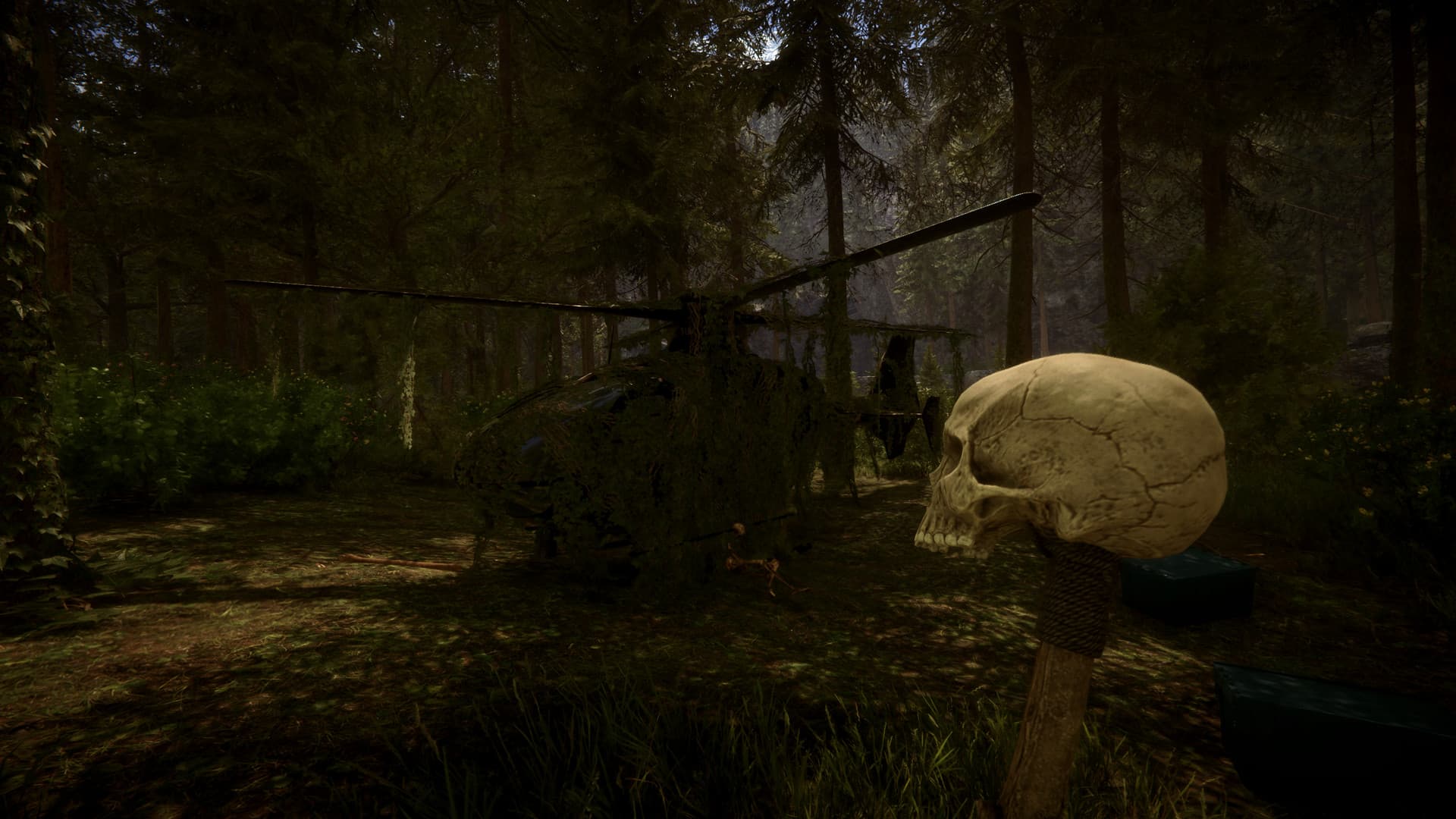 Sons Of The Forest Steam Account - 3