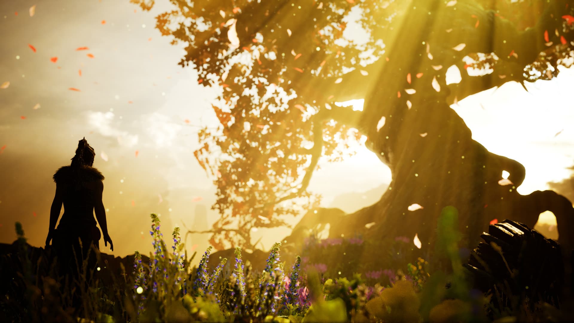 Hellblade: Senua's Sacrifice Steam Account - 6