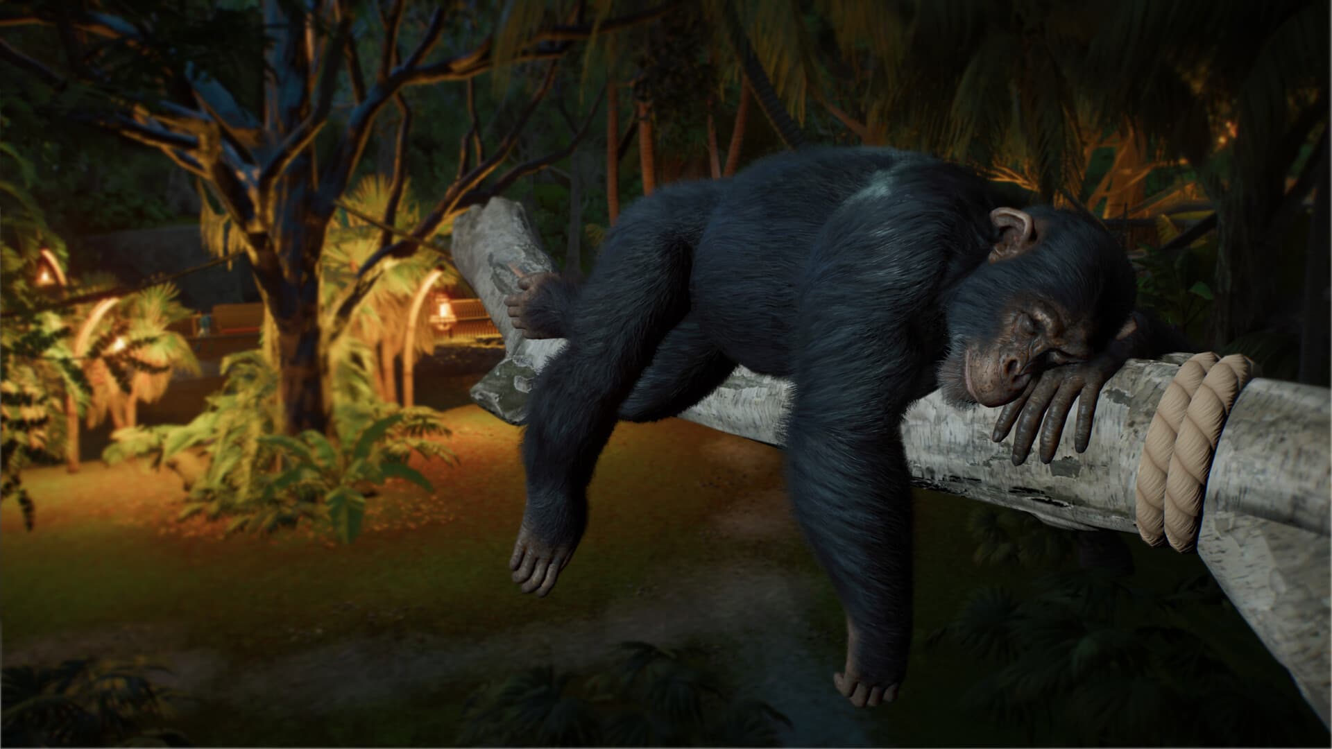 Planet Zoo 2: Deluxe Edition คิวเยอะ อ่านก่อนซื้อ - 6
