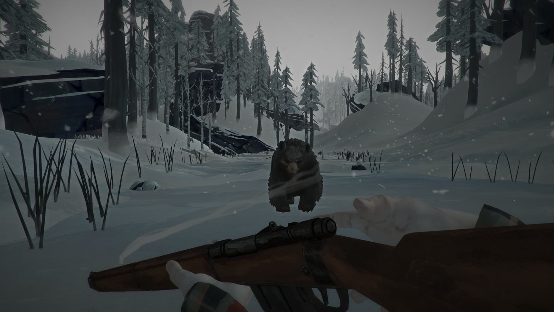 The Long Dark PC Steam Account - 4