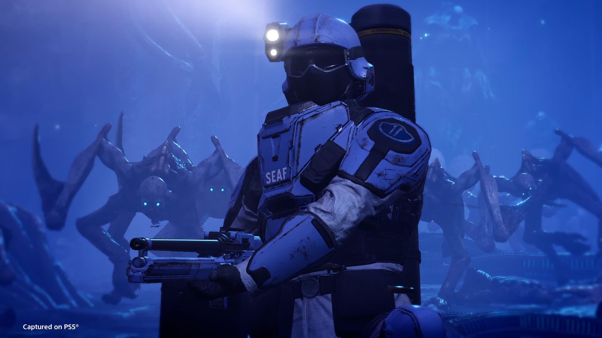 HELLDIVERS 2 PC Steam Account - 4