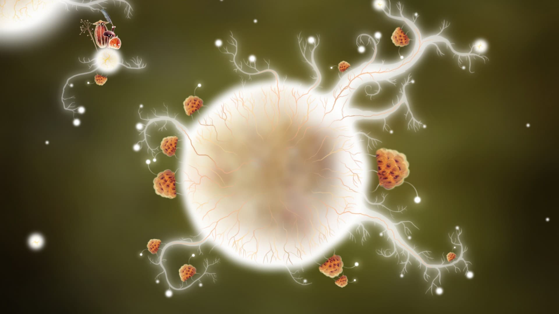 Botanicula Steam CD Key - 7
