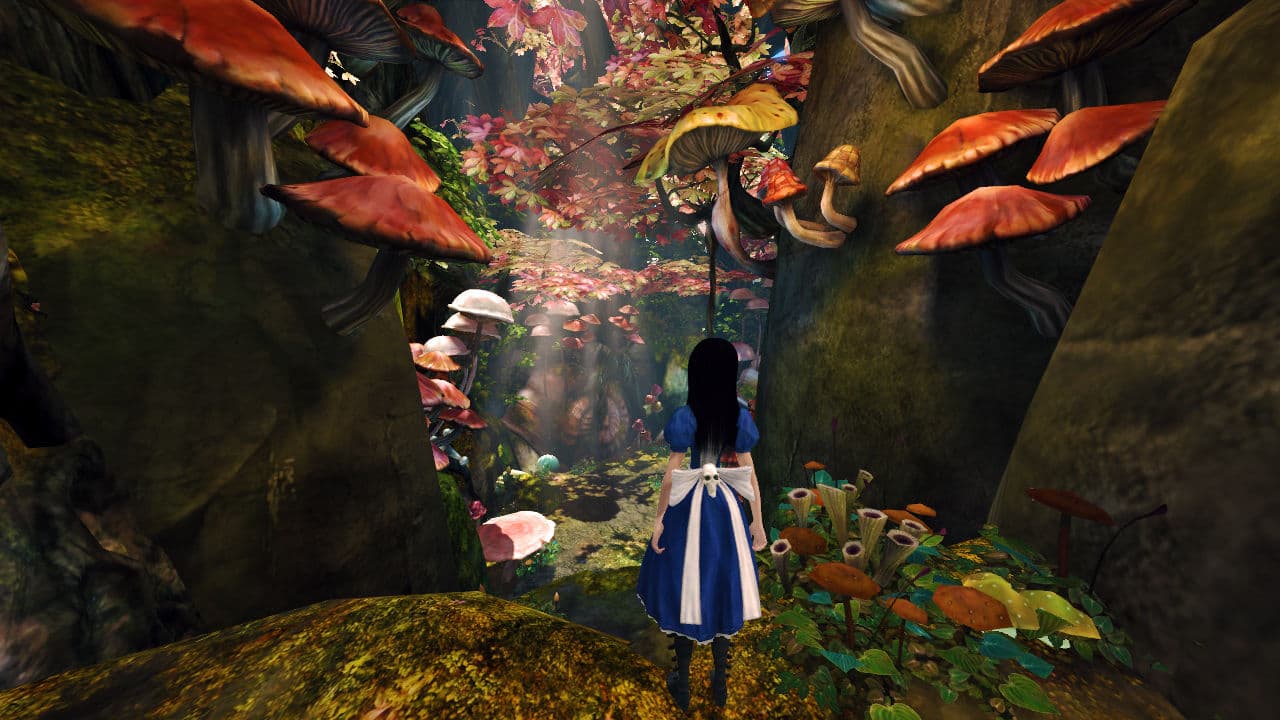 Alice Madness Returns PC Steam Account - 5