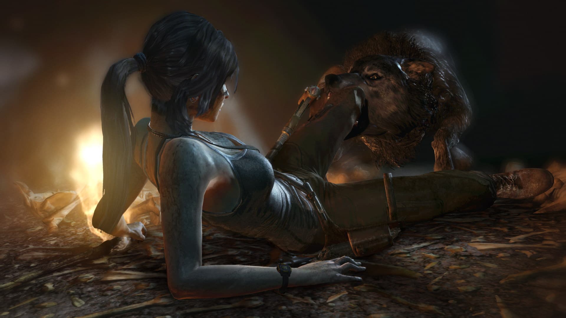Tomb Raider Steam CD Key - 3