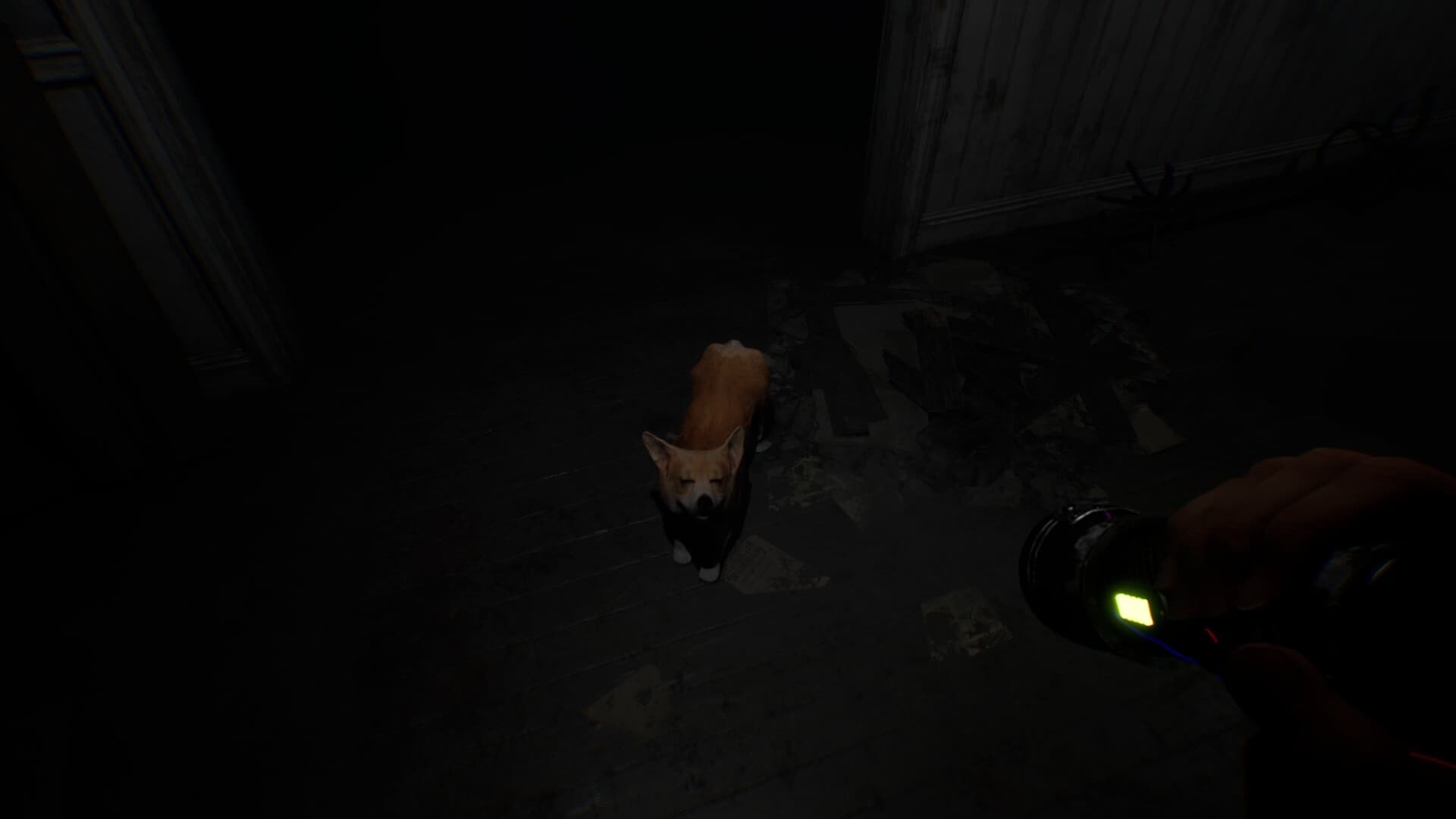 Project Unknown PC Steam Account - 7
