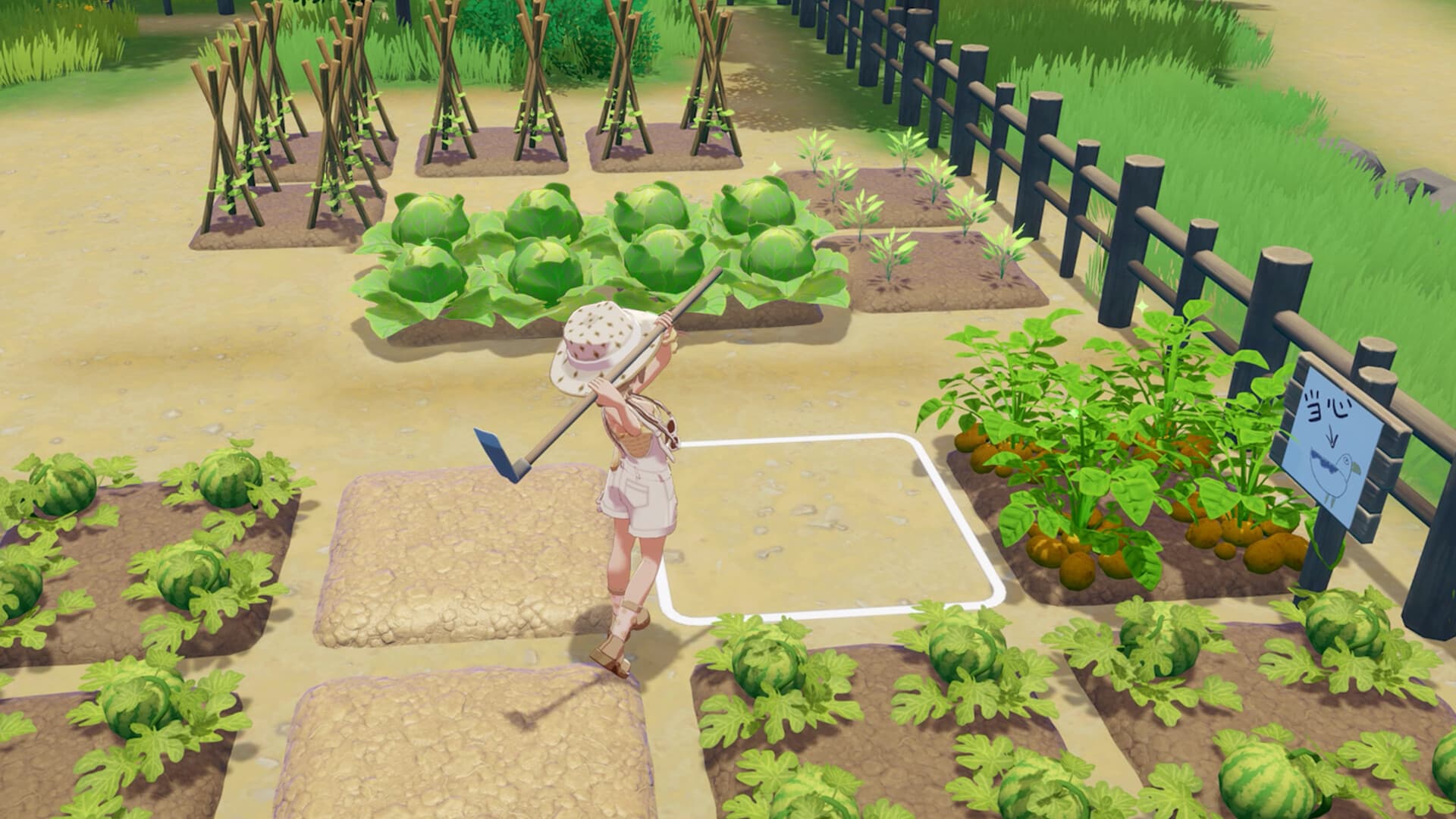 Star Sand Island Deluxe Edition - 2
