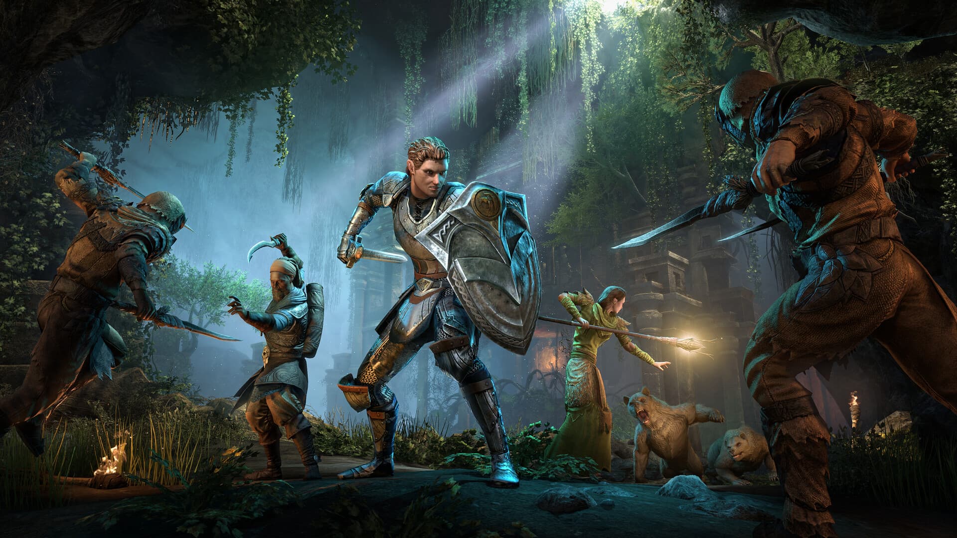 The Elder Scrolls Online Standard Edition Steam Account - 6
