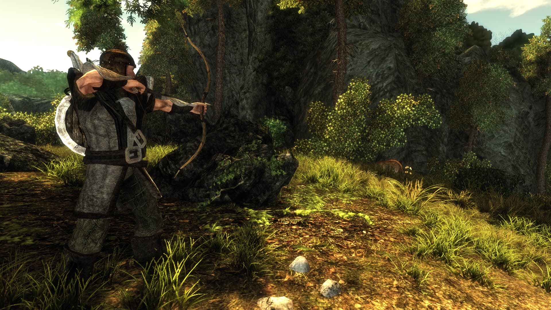 Risen PC Steam Account - 8