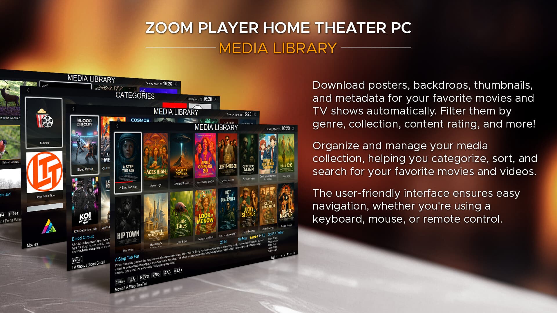 Zoom Player Steam Edition Steam CD Key - 5