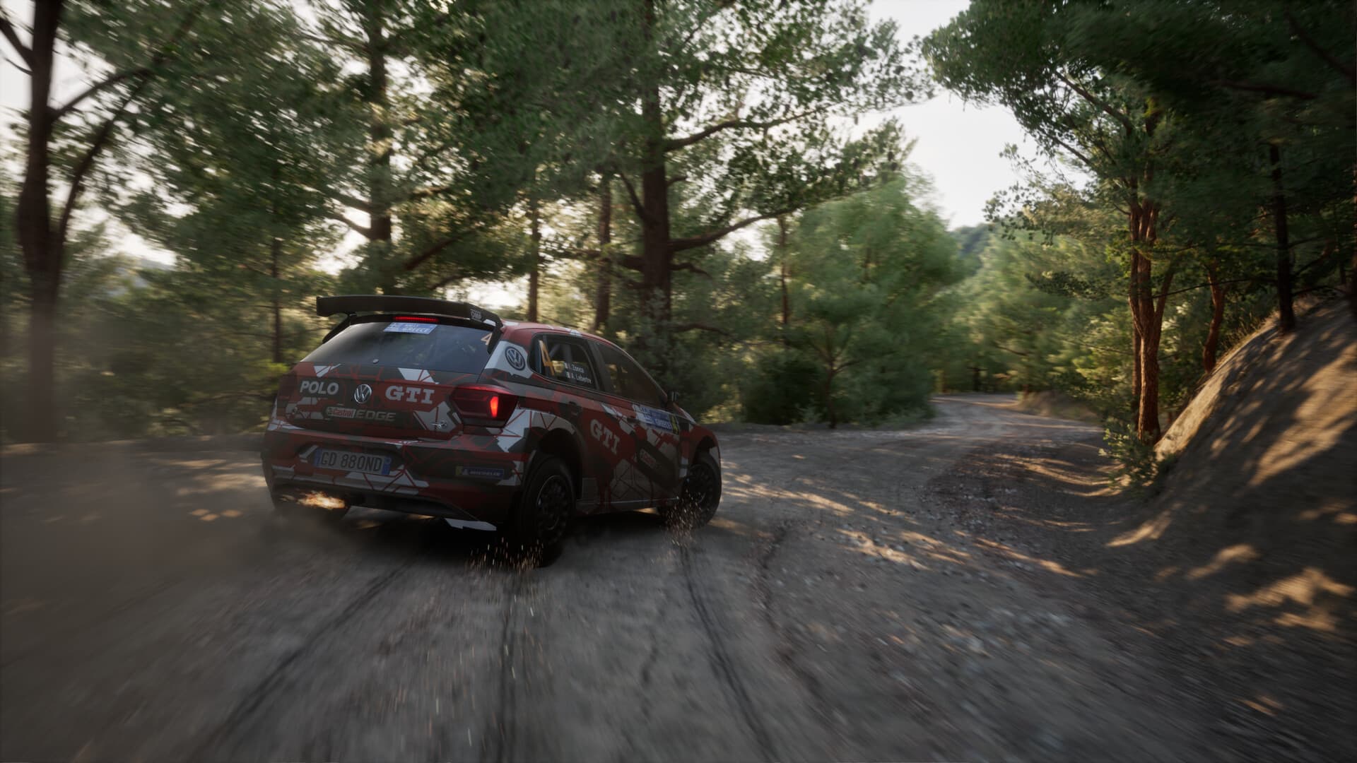 Assetto Corsa Rally PC Steam Account - 5