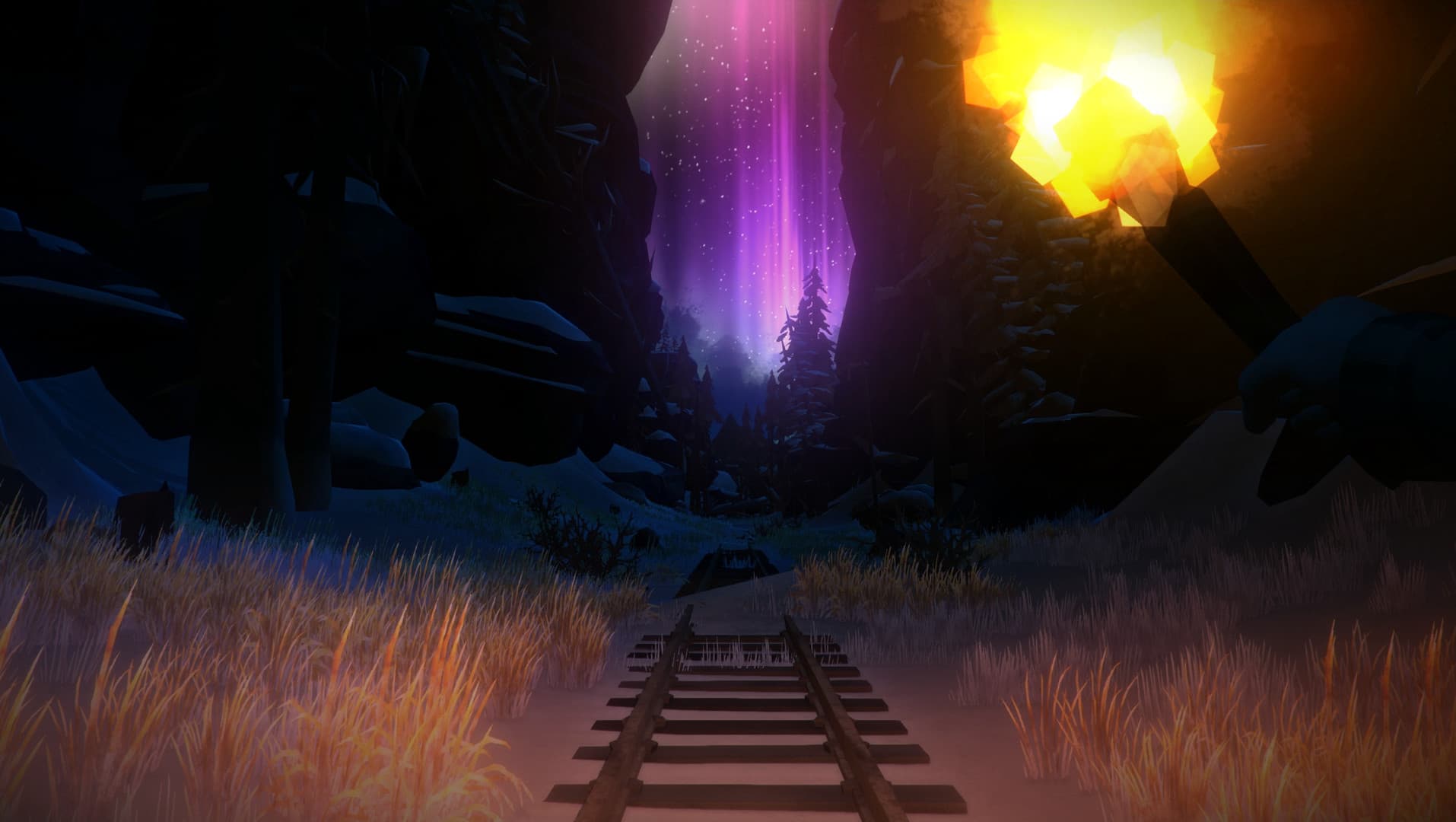 The Long Dark PC Steam Account - 7