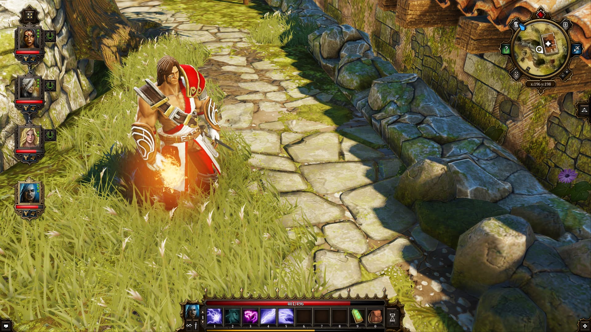 Divinity: Original Sin Enhanced Edition Steam Account - 3