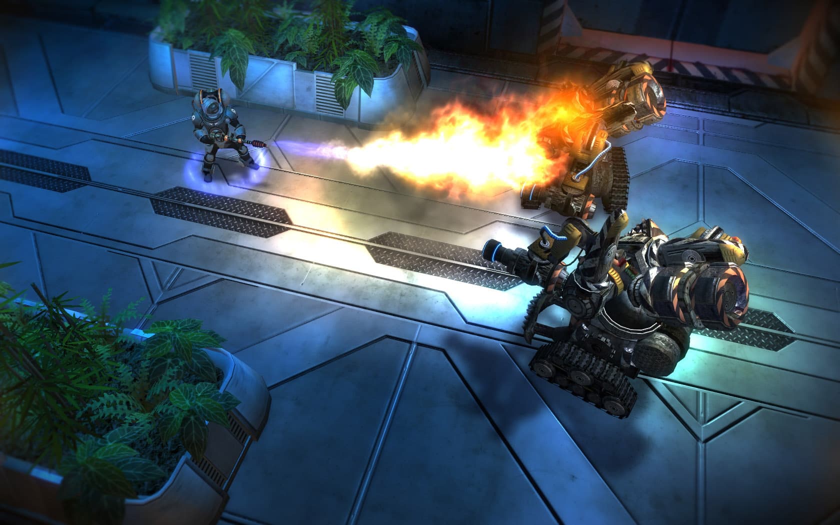 Greed: Black Border Steam CD Key - 2
