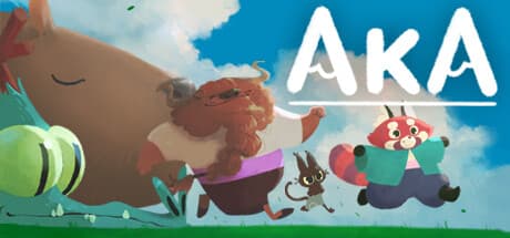 Aka PC Steam Account