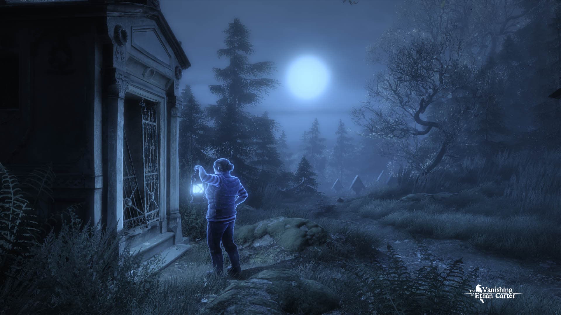 The Vanishing of Ethan Carter PC Steam CD Key - 3