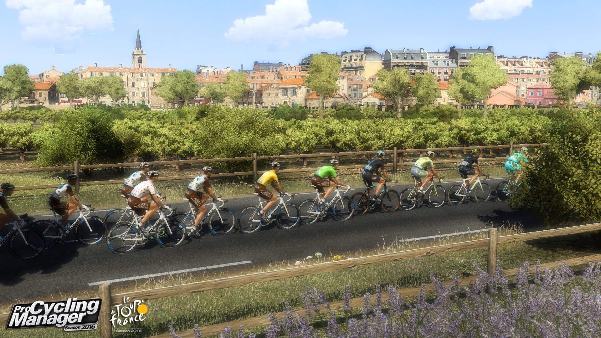 Pro Cycling Manager 2016 Steam CD Key - 4