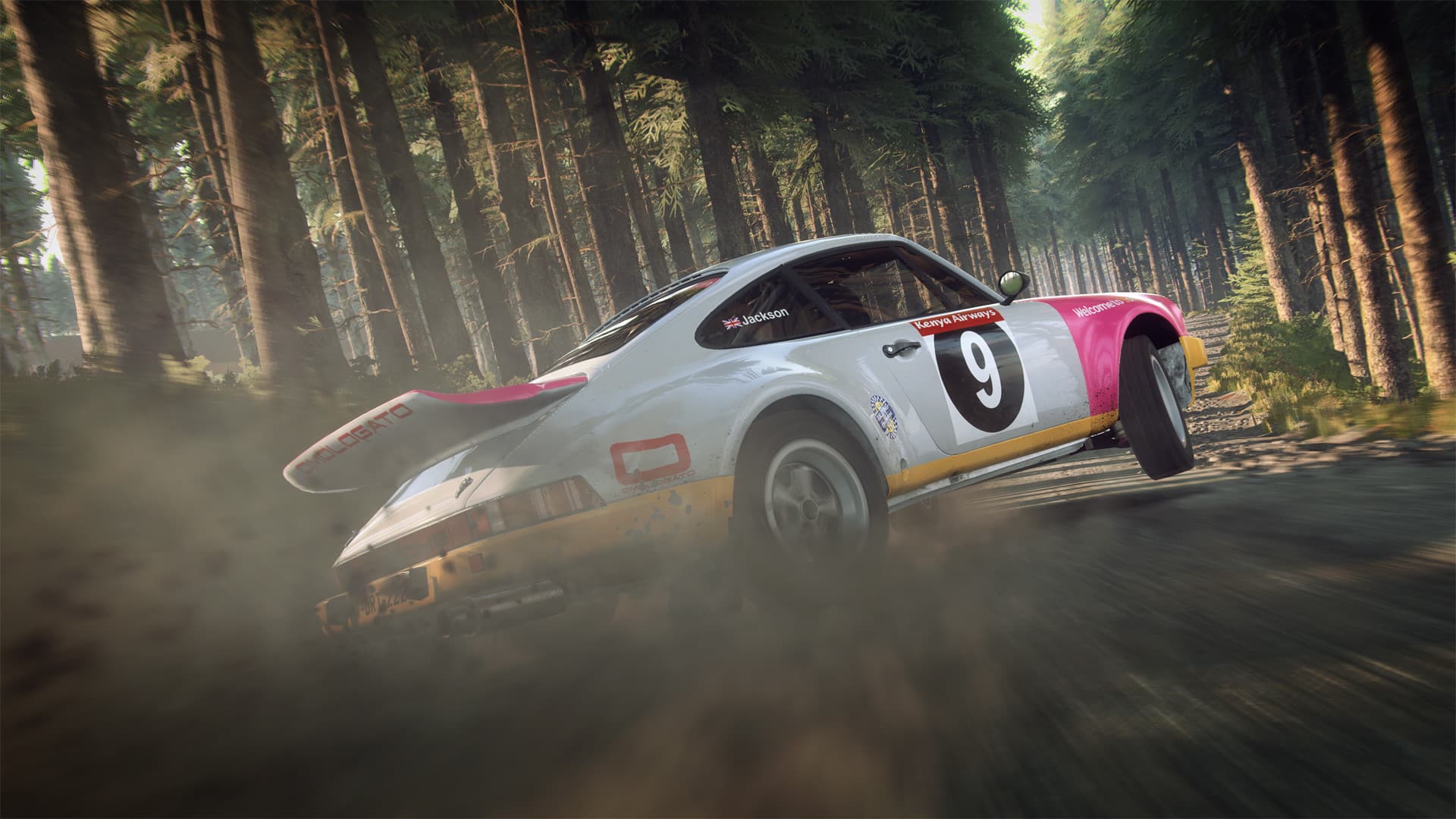 Dirt Rally 2.0 PC Steam Account - 2