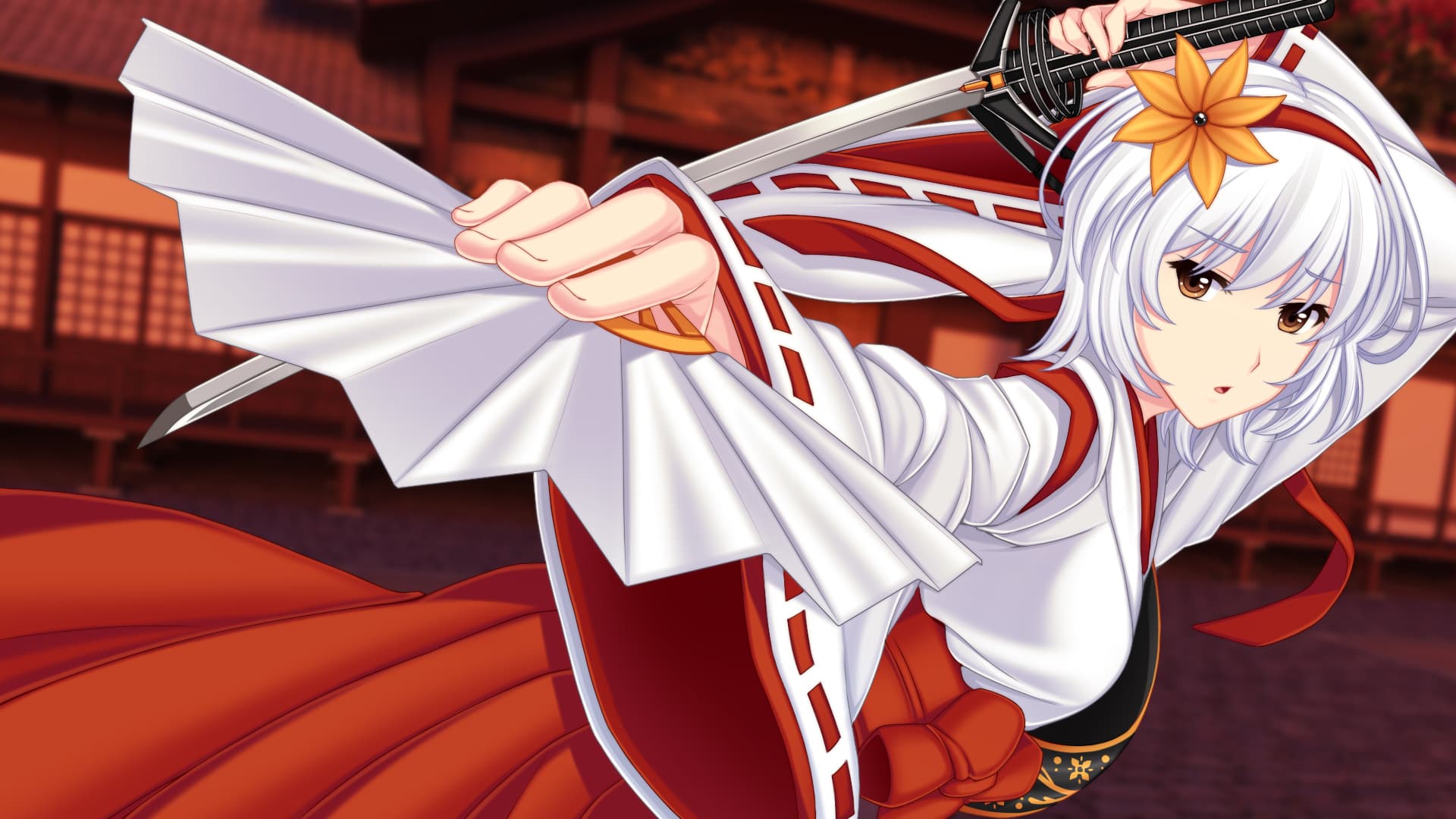 Sunrider Academy Steam CD Key - 8