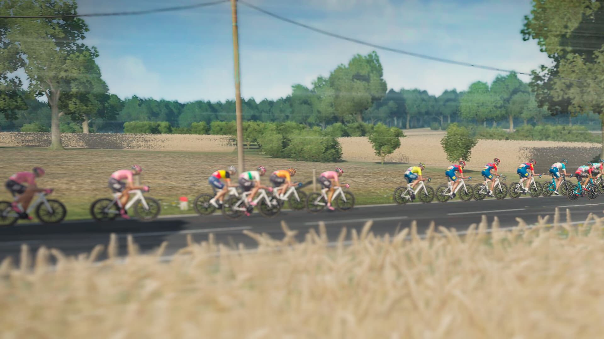 Tour de France 2024 PC Steam Account - 5