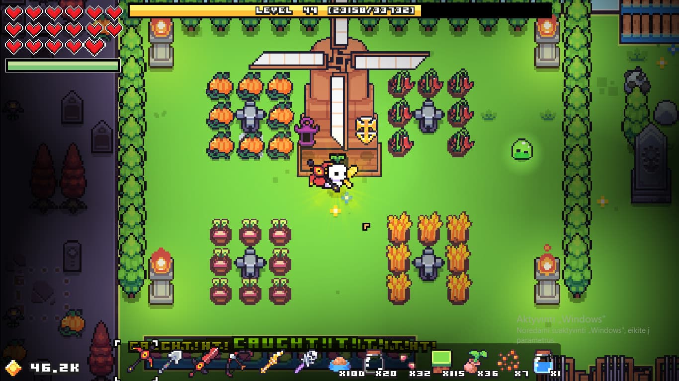 Forager PC Steam Account - 2
