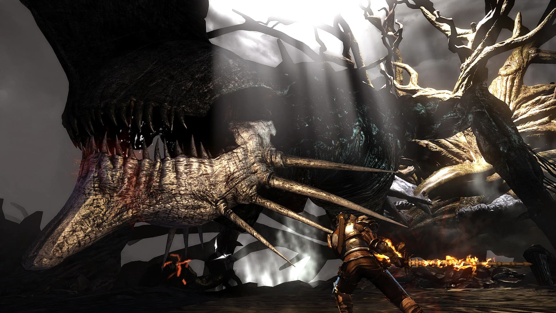 Bound By Flame PL Language Only Steam CD Key - 2