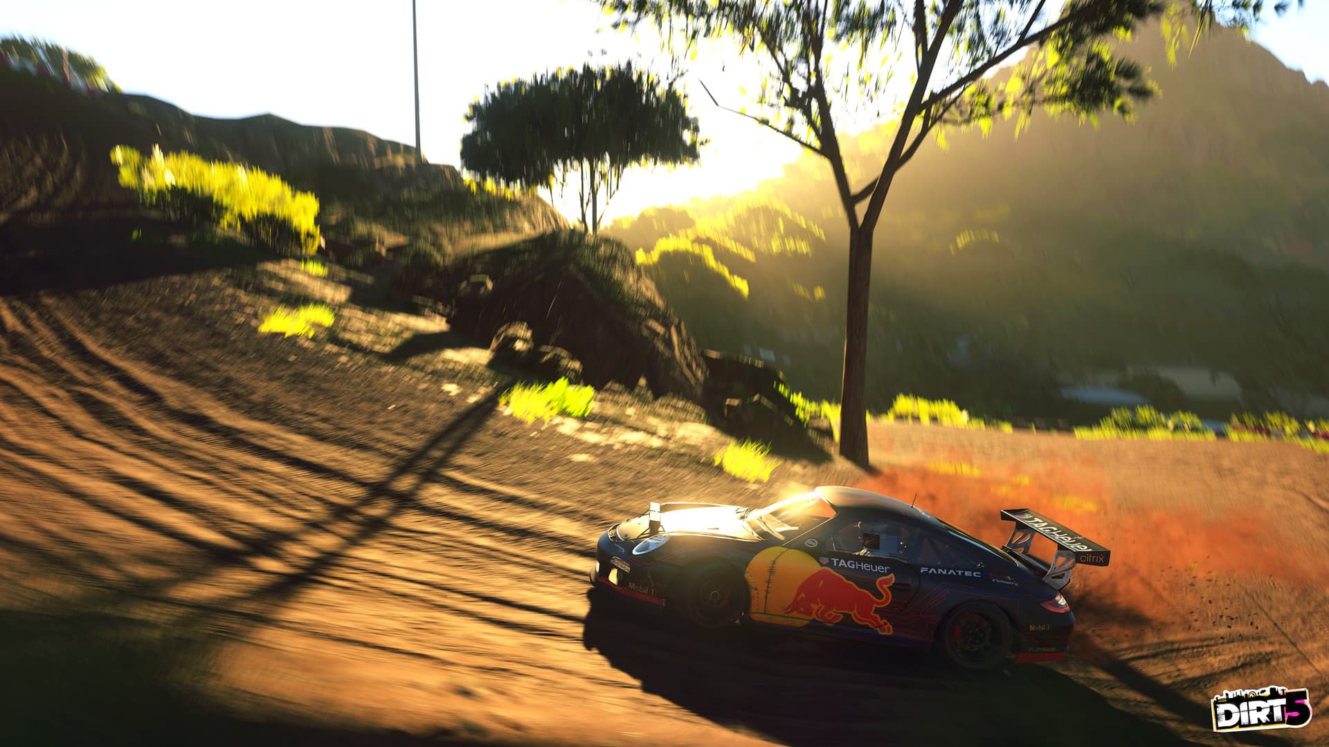 DIRT 5 PC Steam Account - 8