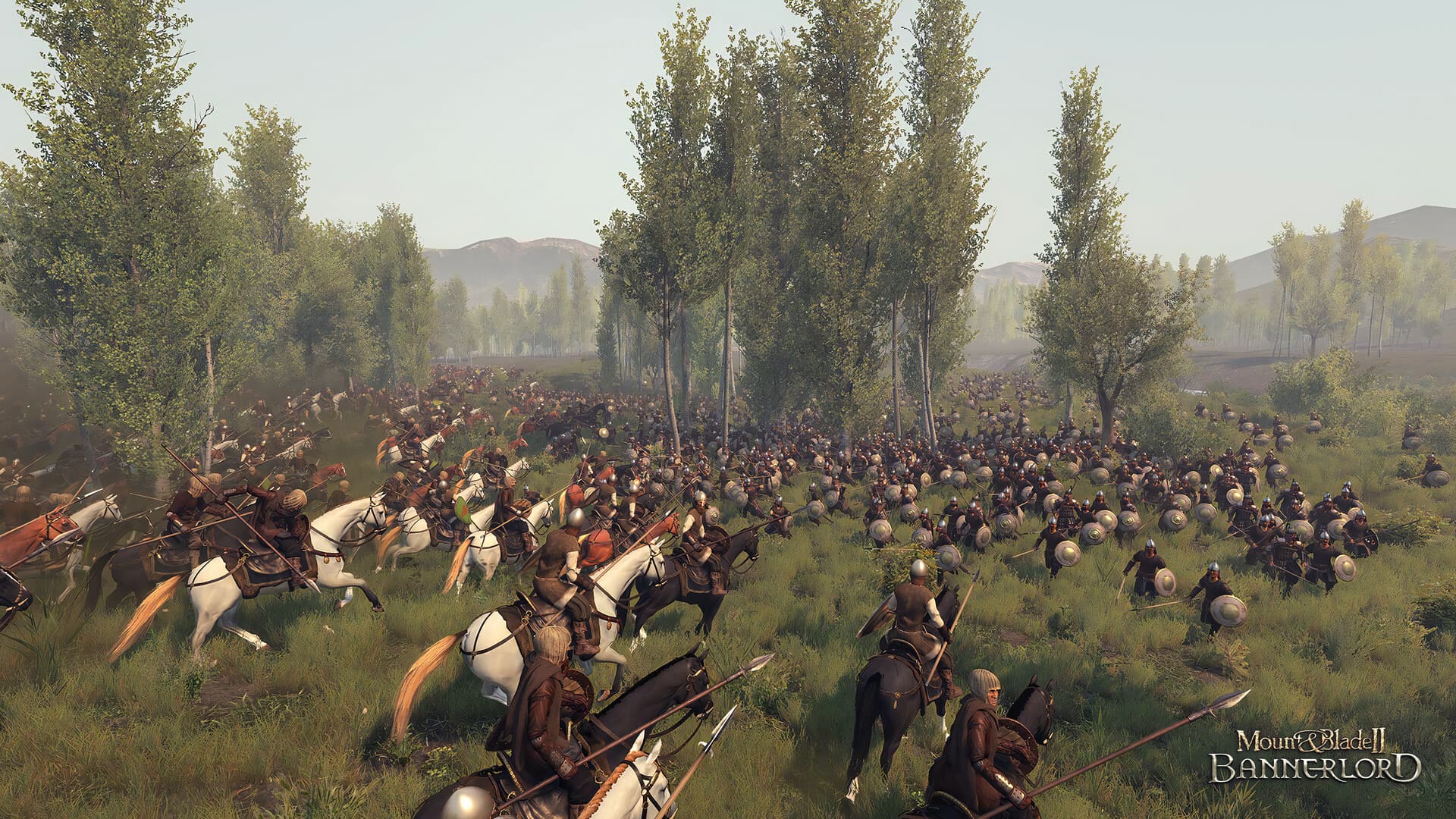 Mount & Blade II: Bannerlord PC Steam Account - 6