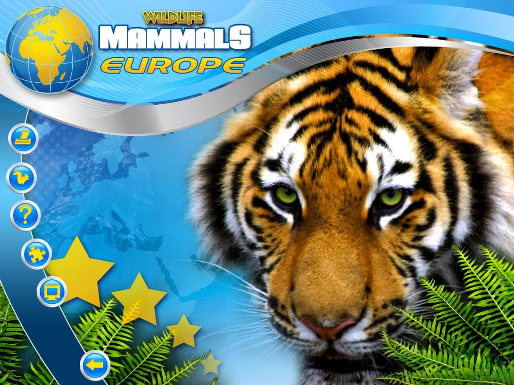 Wildlife Creative Studio PC Steam CD Key - 2