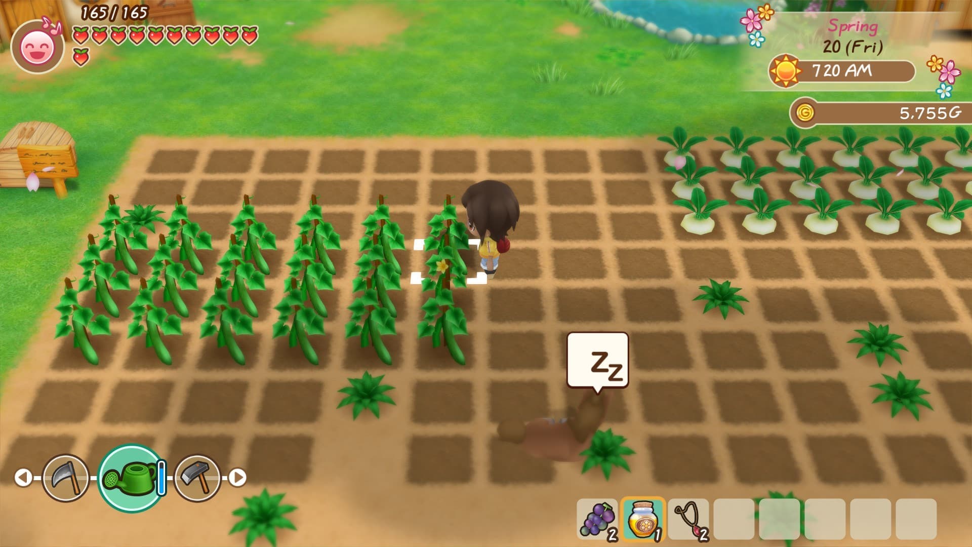 Story of Seasons: Friends of Mineral Town - 3