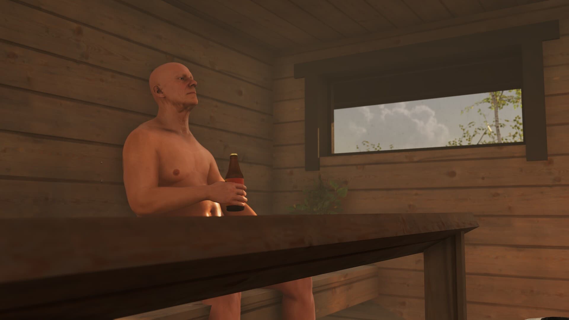 Finnish Cottage Simulator PC Steam Account - 2